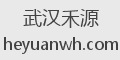 武汉禾源