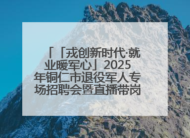 「戎创新时代·就业暖军心」2025年铜仁市退役军人专场招聘会暨直播带岗活动顺利举行