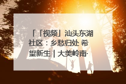 「视频」汕头东湖社区：乡愁归处 希望新生｜大美岭南·百村焕新记