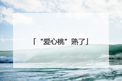 “爱心桃”熟了