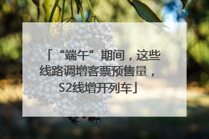 “端午”期间，这些线路调增客票预售量，S2线增开列车