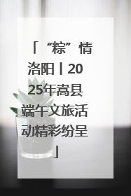 “粽”情洛阳丨2025年嵩县端午文旅活动精彩纷呈