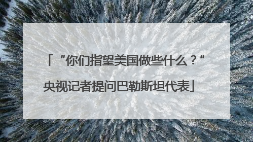 “你们指望美国做些什么？”央视记者提问巴勒斯坦代表