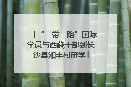 “一带一路”国际学员与西藏干部到长沙县湘丰村研学