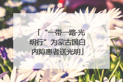 “一带一路·光明行”为蒙古国白内障患者送光明