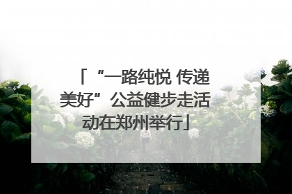 “一路纯悦 传递美好”公益健步走活动在郑州举行