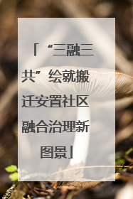 “三融三共”绘就搬迁安置社区融合治理新图景