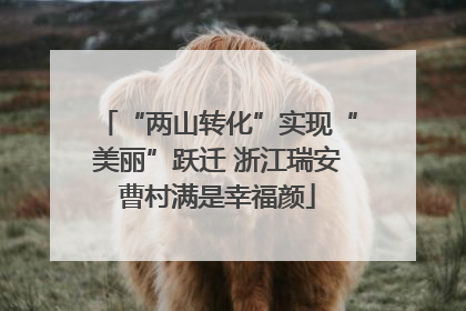 “两山转化”实现“美丽”跃迁 浙江瑞安曹村满是幸福颜