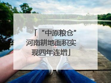 “中原粮仓”河南耕地面积实现四年连增