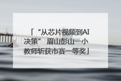 “从芯片视频到AI决策” 眉山彭山一小教师斩获市赛一等奖