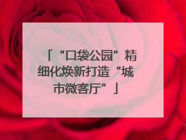 “口袋公园”精细化焕新打造“城市微客厅”