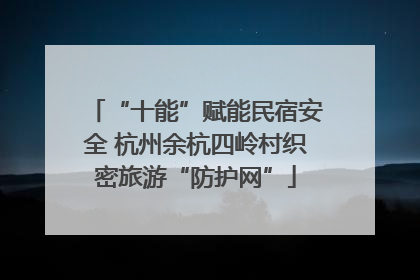 “十能”赋能民宿安全 杭州余杭四岭村织密旅游“防护网”