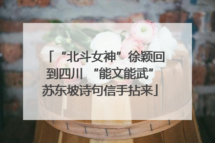 “北斗女神”徐颖回到四川 “能文能武”苏东坡诗句信手拈来