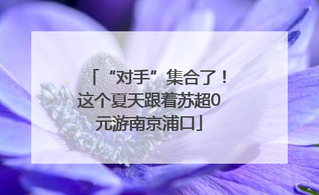 “对手”集合了！这个夏天跟着苏超0元游南京浦口