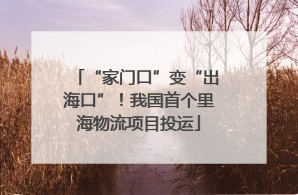 “家门口”变“出海口”！我国首个里海物流项目投运