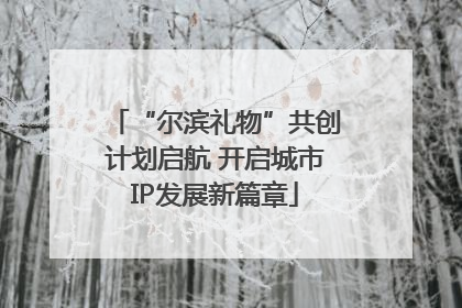 “尔滨礼物”共创计划启航 开启城市IP发展新篇章