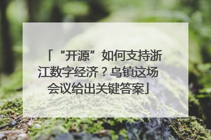 “开源”如何支持浙江数字经济？乌镇这场会议给出关键答案