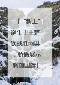 “新王”诞生！王楚钦战胜雨果，骄傲展示胸前国旗