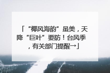 “椰风海韵”虽美，天降“巨叶”要防！台风季，有关部门提醒→