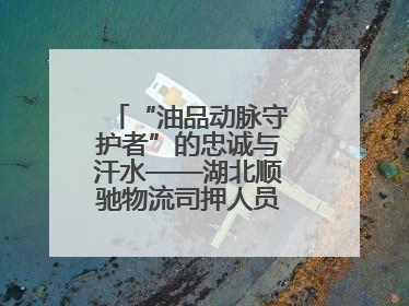 “油品动脉守护者”的忠诚与汗水——湖北顺驰物流司押人员战高温保供应