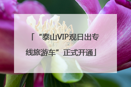 “泰山VIP观日出专线旅游车”正式开通