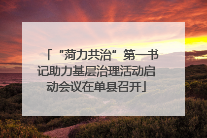 “菏力共治”第一书记助力基层治理活动启动会议在单县召开