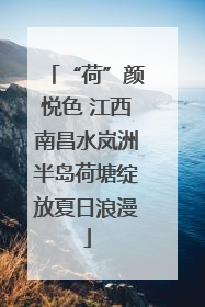 “荷”颜悦色 江西南昌水岚洲半岛荷塘绽放夏日浪漫