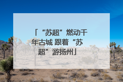 “苏超”燃动千年古城 跟着“苏超”游扬州