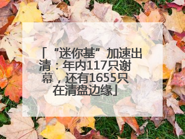 “迷你基”加速出清：年内117只谢幕，还有1655只在清盘边缘