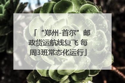 “郑州-首尔”邮政货运航线复飞 每周3班常态化运行
