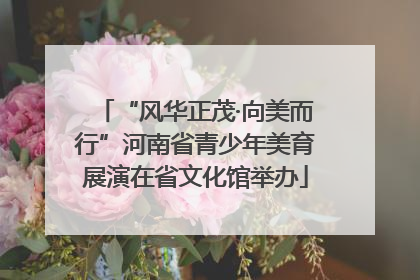 “风华正茂·向美而行”河南省青少年美育展演在省文化馆举办