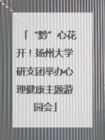 “黔”心花开！扬州大学研支团举办心理健康主题游园会