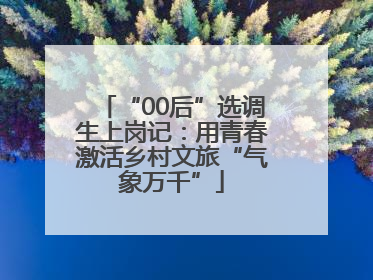 “00后”选调生上岗记：用青春激活乡村文旅“气象万千”