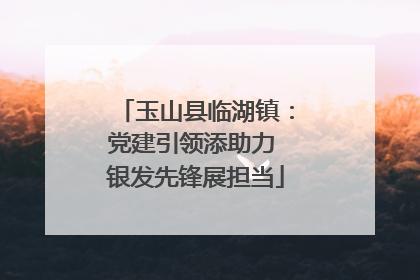 玉山县临湖镇：党建引领添助力 银发先锋展担当