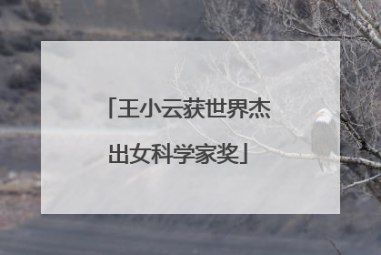 王小云获世界杰出女科学家奖