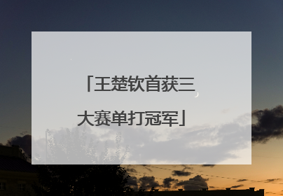 王楚钦首获三大赛单打冠军