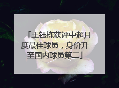王钰栋获评中超月度最佳球员，身价升至国内球员第二