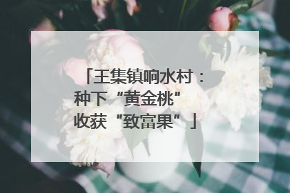 王集镇响水村：种下“黄金桃” 收获“致富果”