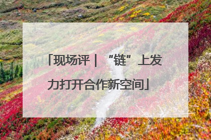 现场评｜“链”上发力打开合作新空间