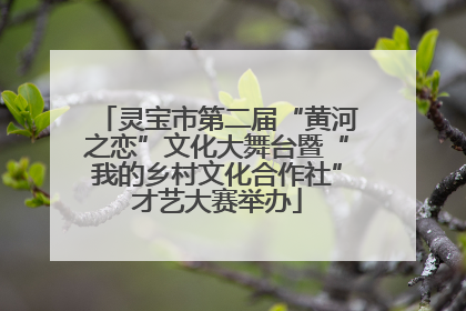 灵宝市第二届“黄河之恋”文化大舞台暨“我的乡村文化合作社”才艺大赛举办