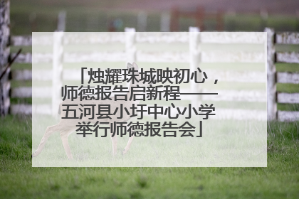 烛耀珠城映初心，师德报告启新程——五河县小圩中心小学举行师德报告会