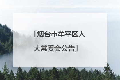 烟台市牟平区人大常委会公告