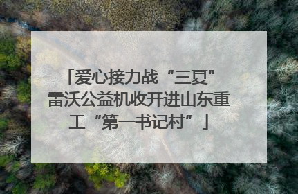 爱心接力战“三夏” 雷沃公益机收开进山东重工“第一书记村”