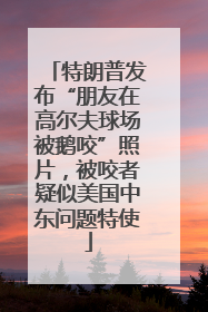 特朗普发布“朋友在高尔夫球场被鹅咬”照片，被咬者疑似美国中东问题特使