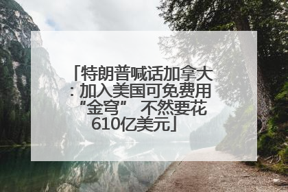 特朗普喊话加拿大：加入美国可免费用“金穹” 不然要花610亿美元