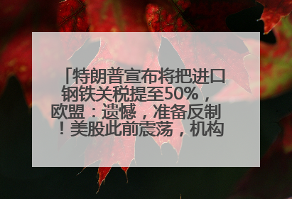 特朗普宣布将把进口钢铁关税提至50%，欧盟：遗憾，准备反制！美股此前震荡，机构：美元正进入熊市