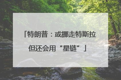 特朗普：或挪走特斯拉 但还会用“星链”