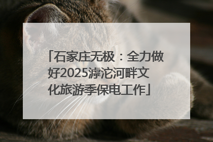 石家庄无极：全力做好2025滹沱河畔文化旅游季保电工作