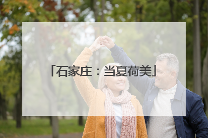 石家庄：当夏荷美