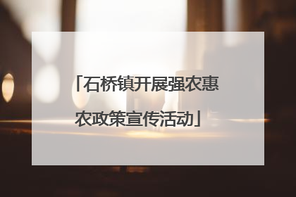石桥镇开展强农惠农政策宣传活动